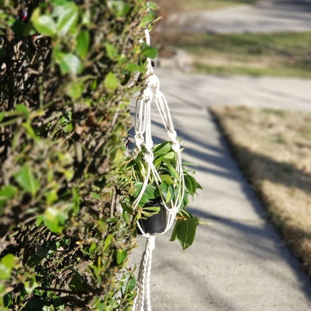 Handmade Macrame Hanger - Picture 2 of 4
